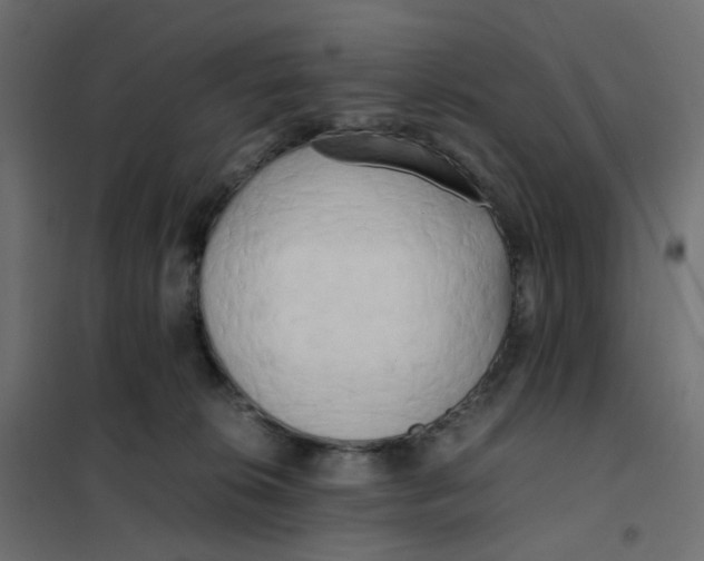 X0000102030276200808081819