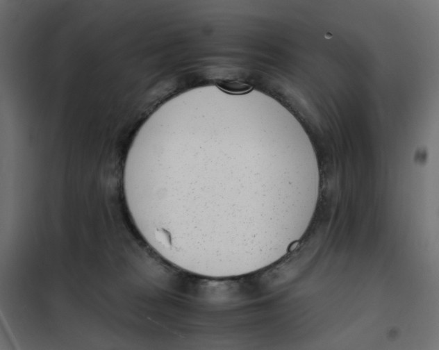 X0000102030277200808081819