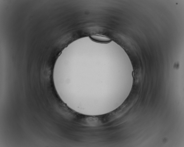 X0000102030279200808081819