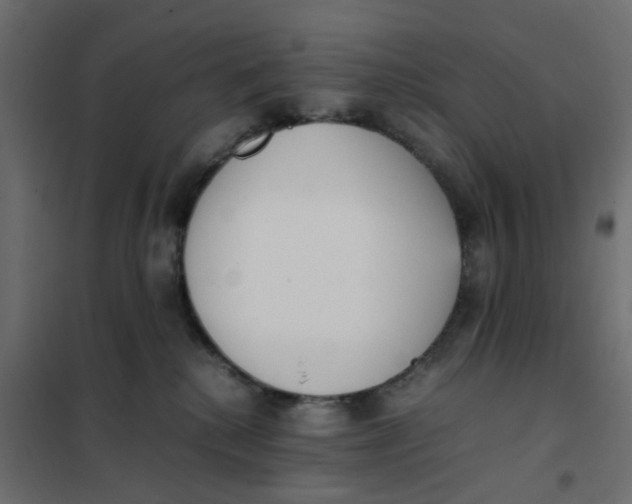 X0000102030280200808081819