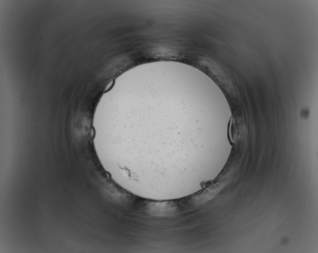 X0000102030281200808081819