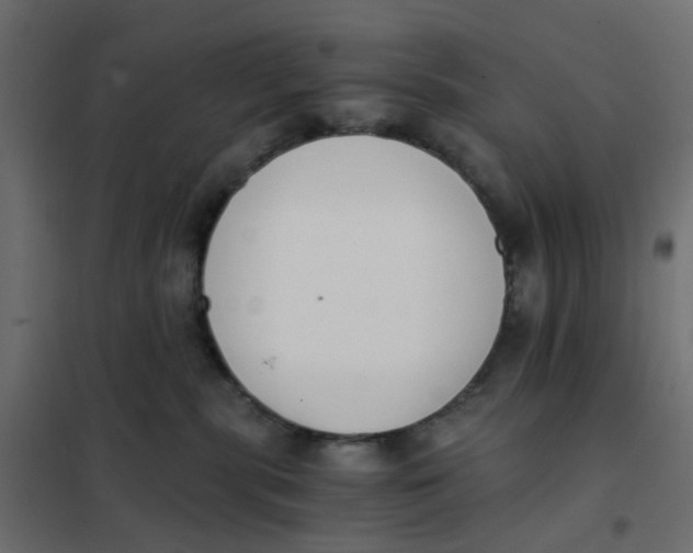 X0000102030283200808081819