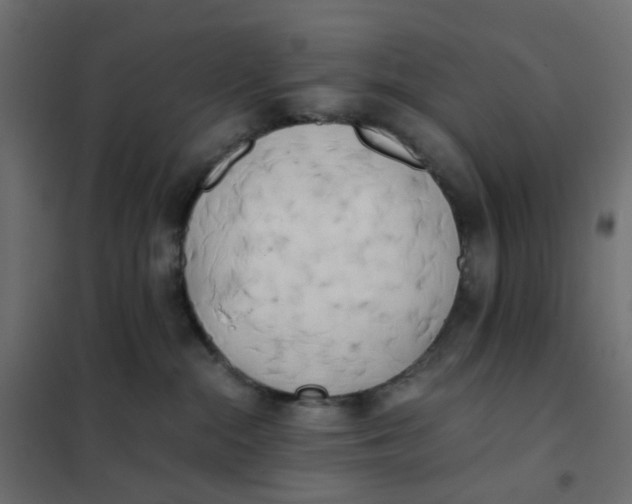 X0000102030284200808081819