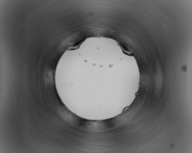 X0000102030286200808081819