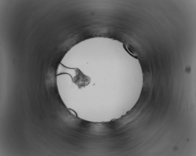 X0000102030287200808081819