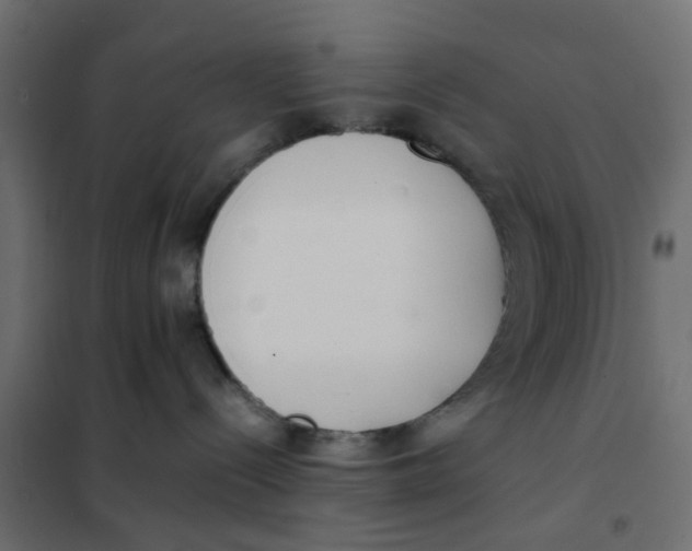 X0000102030288200808081819