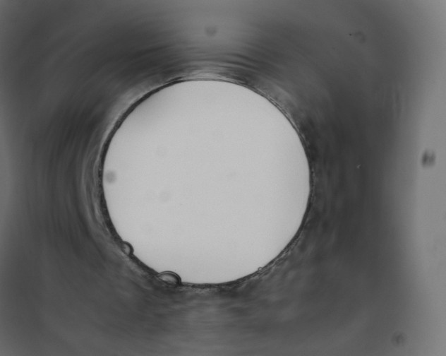 X0000102030289200808081818