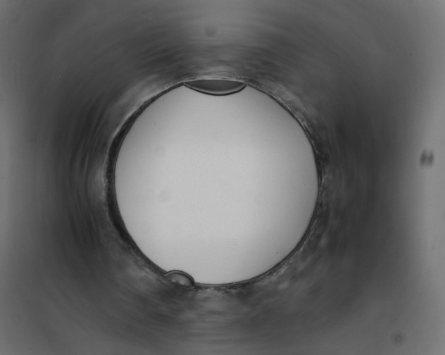 X0000102030290200808081818