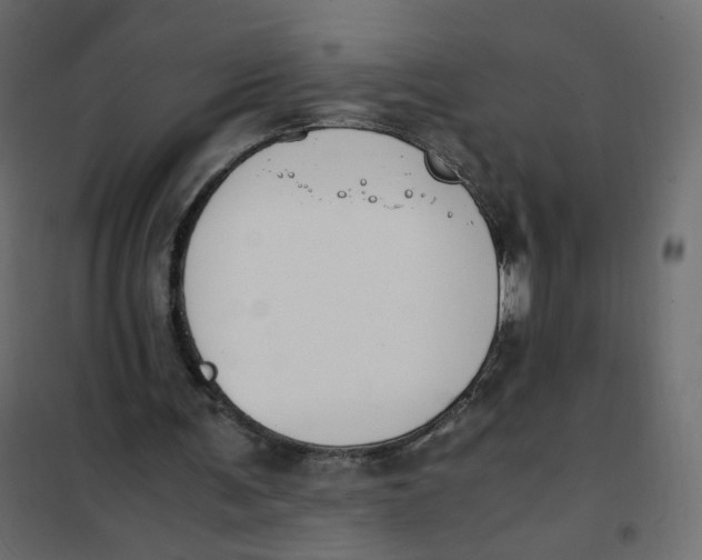 X0000102030291200808081818