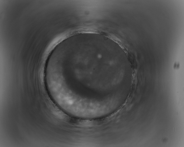 X0000102030293200808081818