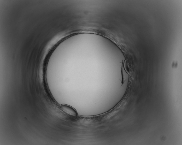 X0000102030294200808081818