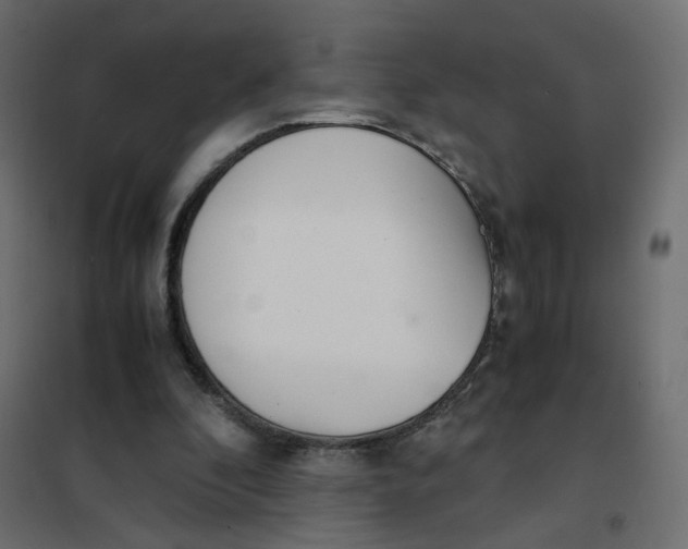 X0000102030296200808081818