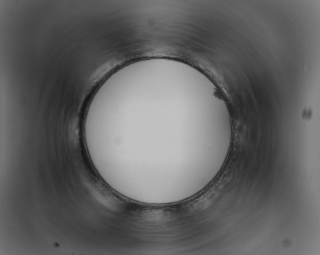 X0000102030298200808081818