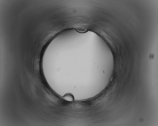 X0000102030299200808081818