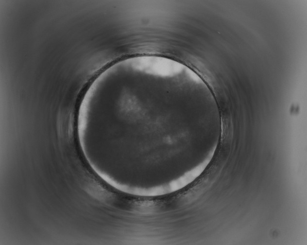 X0000102030301200808081818