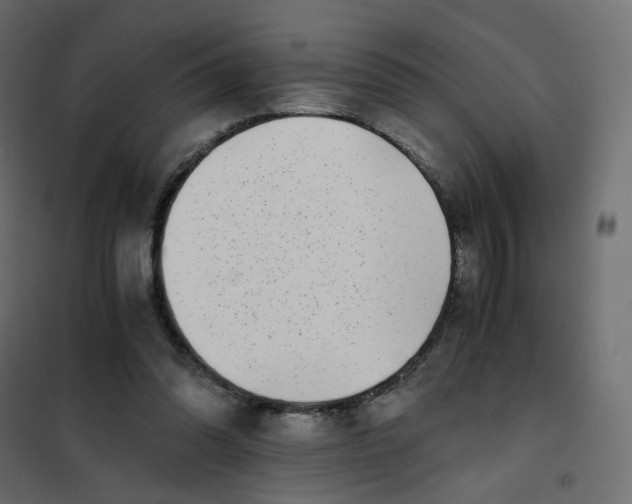 X0000102030302200808081818