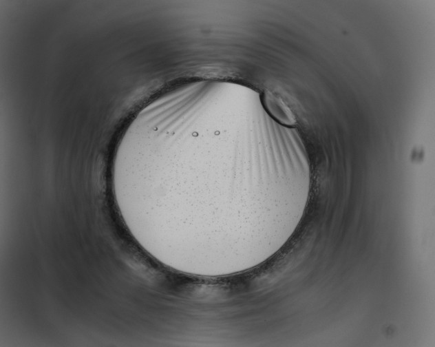 X0000102030303200808081818