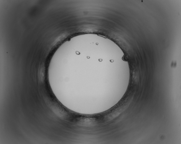 X0000102030304200808081818