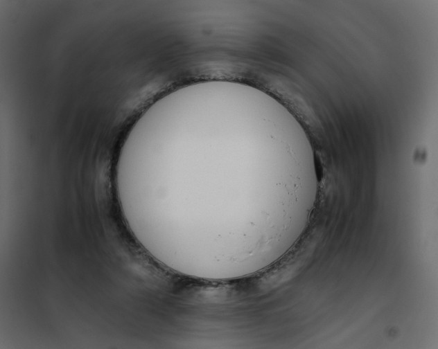 X0000102030306200808081818