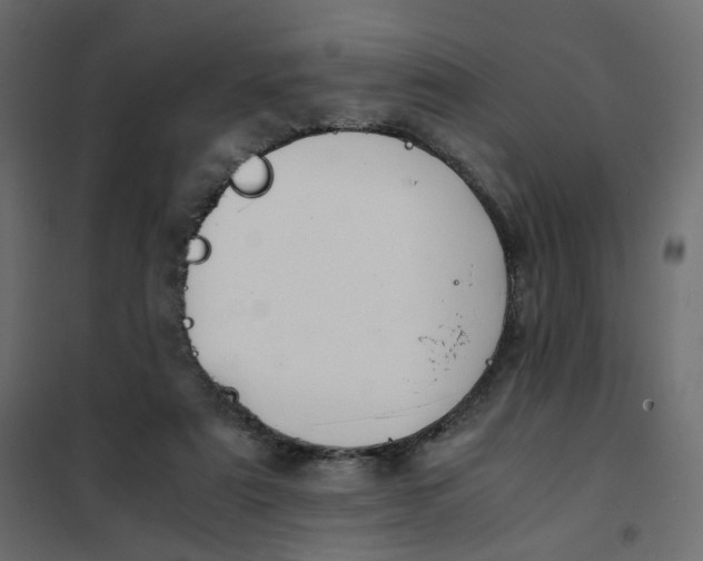 X0000102030307200808081818