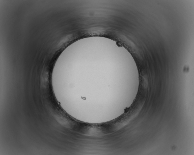 X0000102030308200808081818