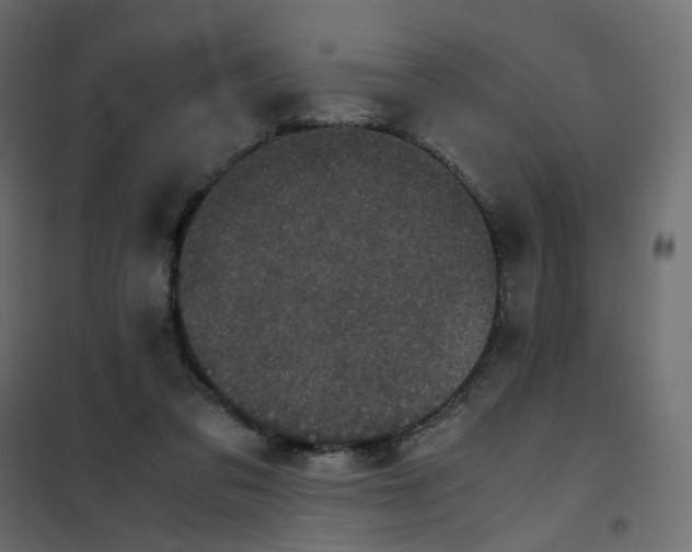 X0000102030309200808081818