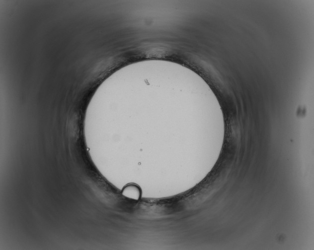 X0000102030311200808081818