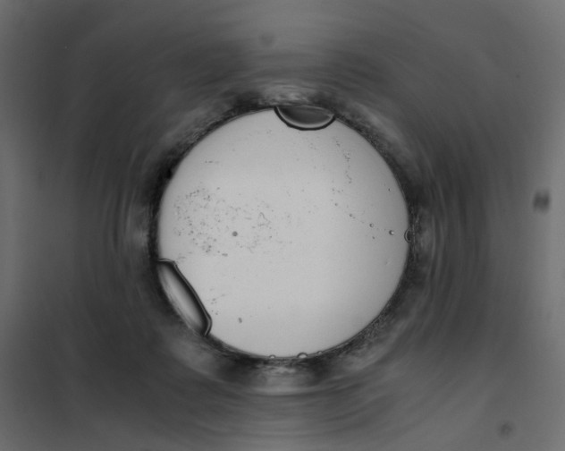 X0000102030315200808081818