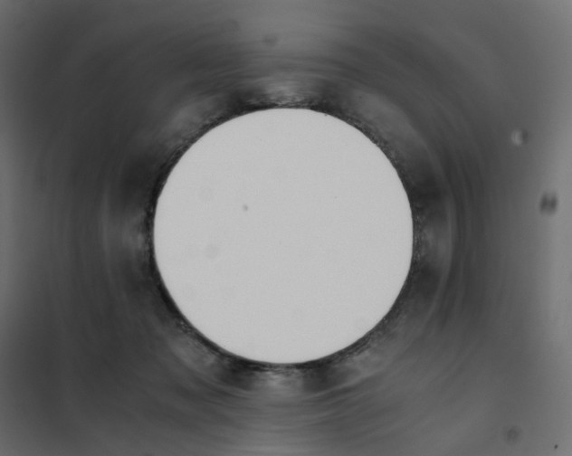 X0000102030317200808081818