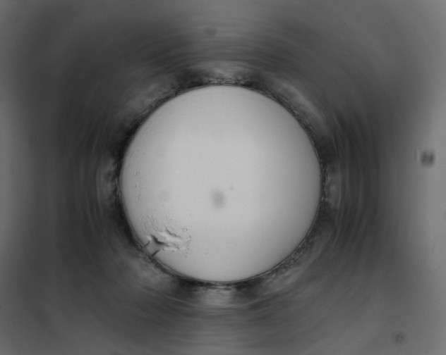 X0000102030318200808081818