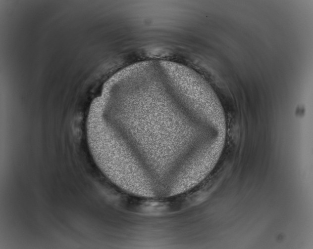 X0000102030319200808081818