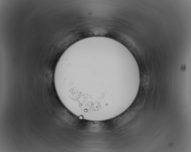 X0000102030321200808081818