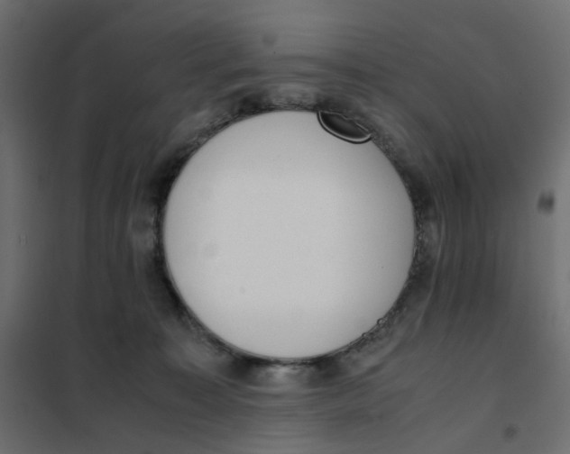 X0000102030323200808081818