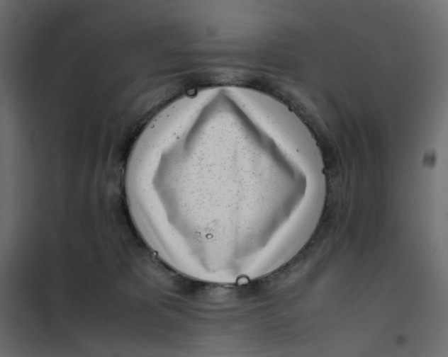 X0000102030325200808081818