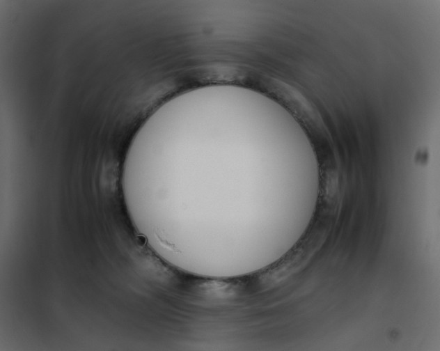 X0000102030326200808081818