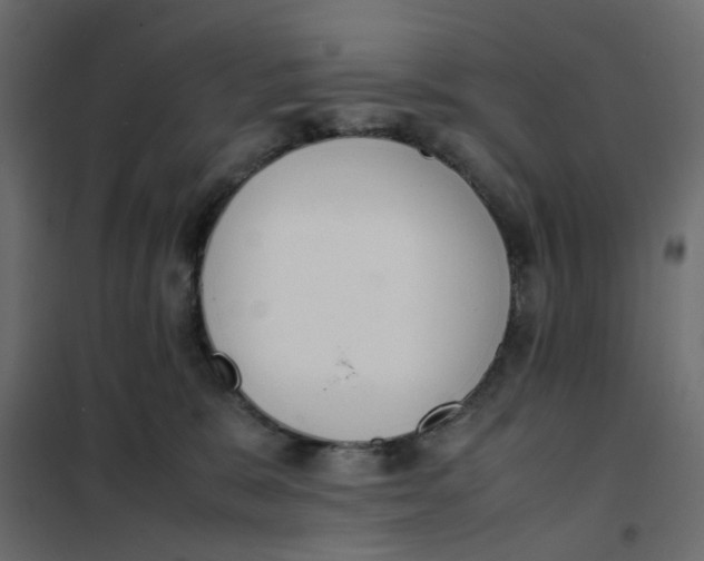 X0000102030327200808081818