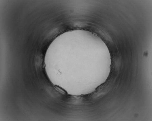 X0000102030328200808081818