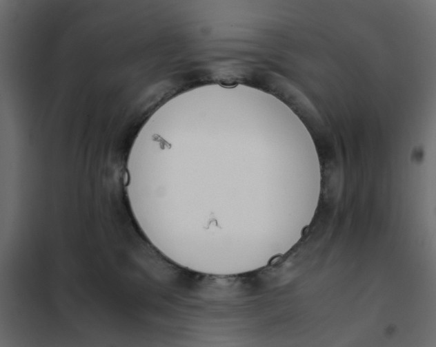 X0000102030329200808081818