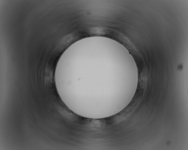 X0000102030330200808081818