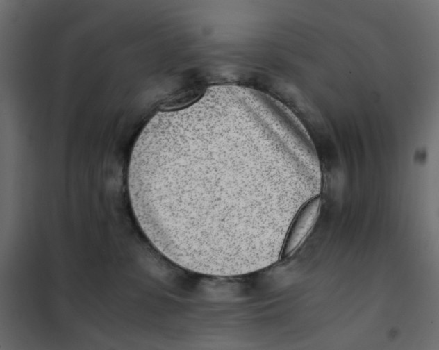 X0000102030331200808081818