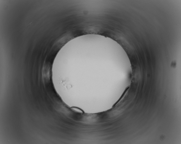 X0000102030334200808081818