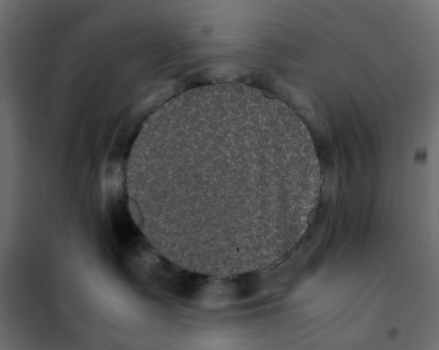 X0000102030335200808081818