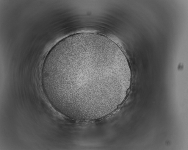 X0000102030337200808081817