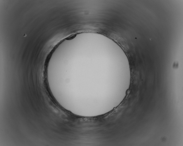 X0000102030338200808081817