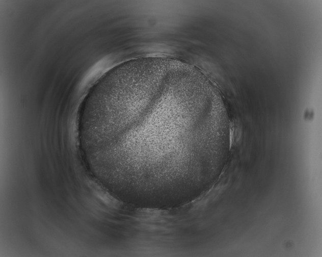 X0000102030339200808081817