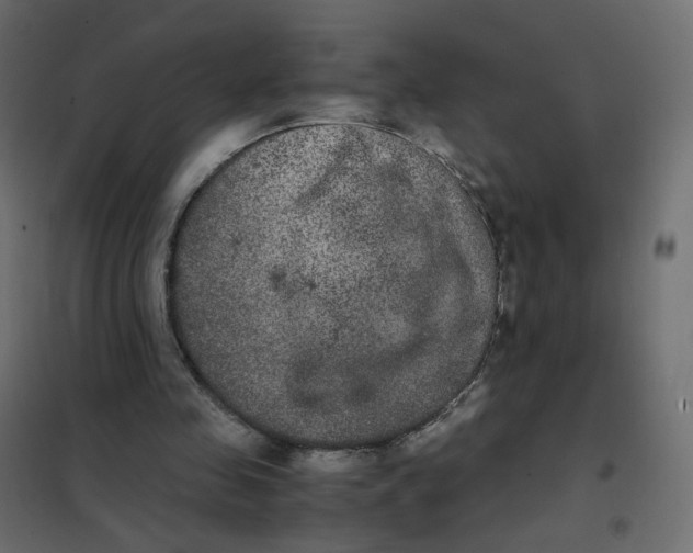 X0000102030341200808081817