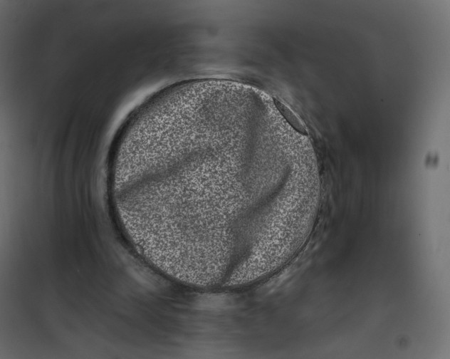 X0000102030342200808081817