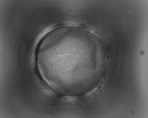 X0000102030343200808081817