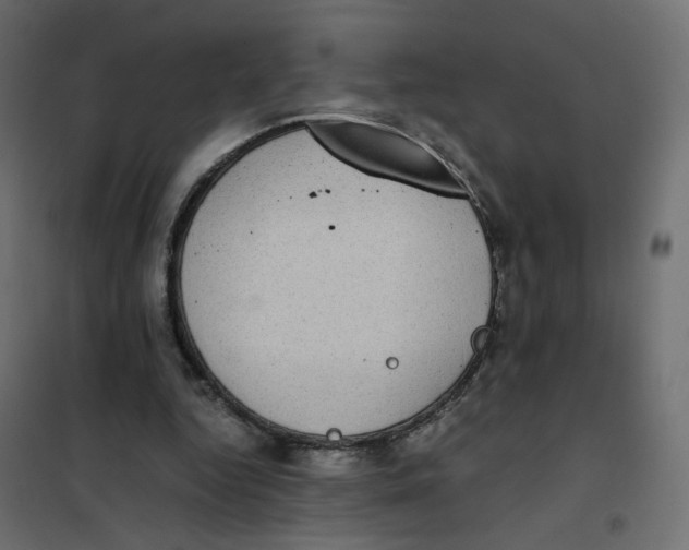 X0000102030344200808081817