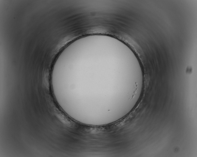 X0000102030345200808081817